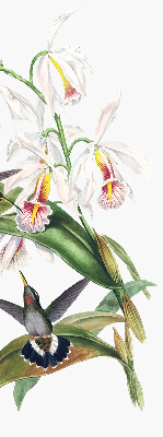 Rollo Fenster mit Vögeln auf einer Blume