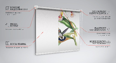 Rollo Fenster mit Vögeln auf einer Blume