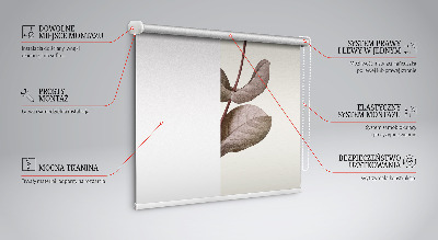 Fensterrollo innen herabfallende Blume