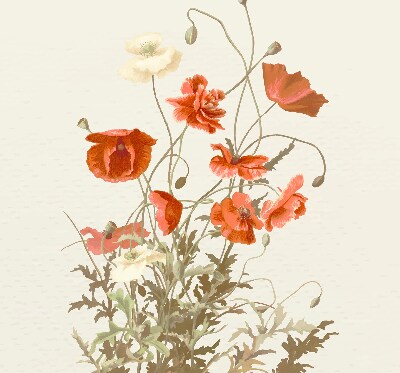 Rollo Fenster mit Mohnblumen
