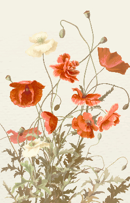 Rollo Fenster mit Mohnblumen