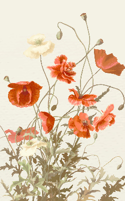 Rollo Fenster mit Mohnblumen