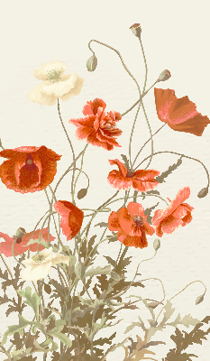 Rollo Fenster mit Mohnblumen