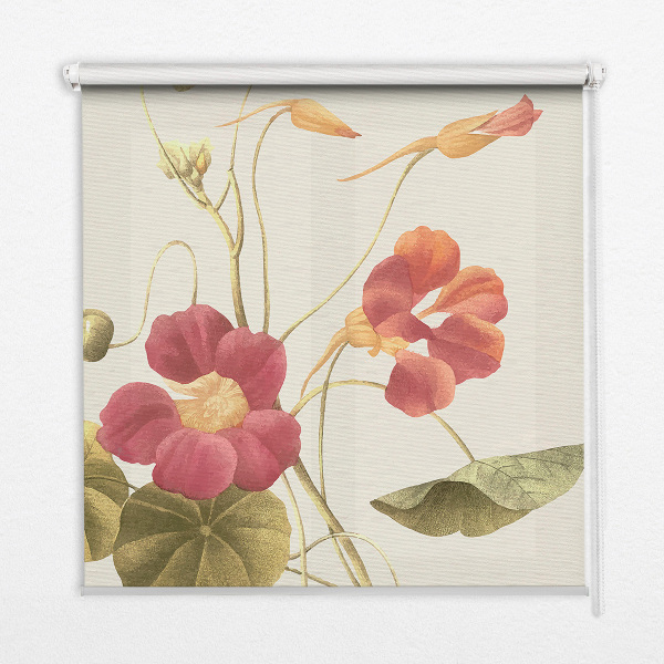 Fensterrollo in der Ausführung Blume