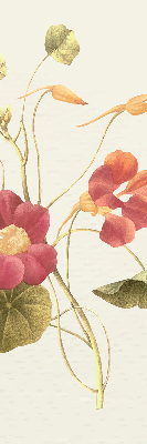 Fensterrollo in der Ausführung Blume