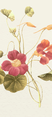 Fensterrollo in der Ausführung Blume