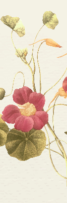 Fensterrollo in der Ausführung Blume