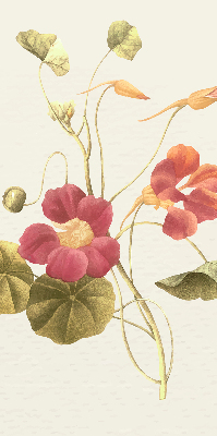 Fensterrollo in der Ausführung Blume