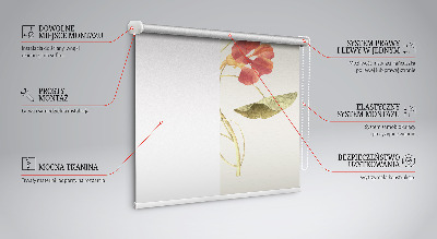 Fensterrollo in der Ausführung Blume