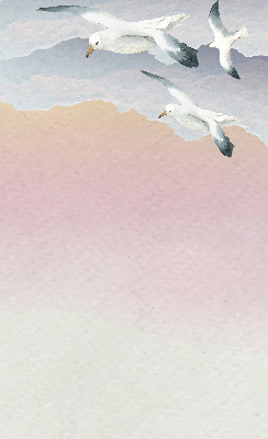 Rollo Fenster mit Motiv fliegender Vögel