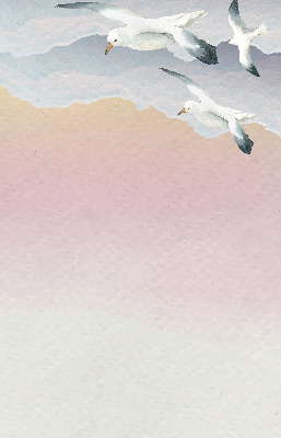 Rollo Fenster mit Motiv fliegender Vögel