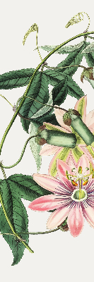 Rollo Fenster in rosa Farbe mit Blumenmotiv