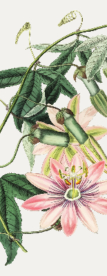 Rollo Fenster in rosa Farbe mit Blumenmotiv
