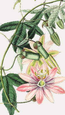 Rollo Fenster in rosa Farbe mit Blumenmotiv