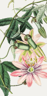 Rollo Fenster in rosa Farbe mit Blumenmotiv