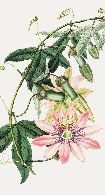 Rollo Fenster in rosa Farbe mit Blumenmotiv
