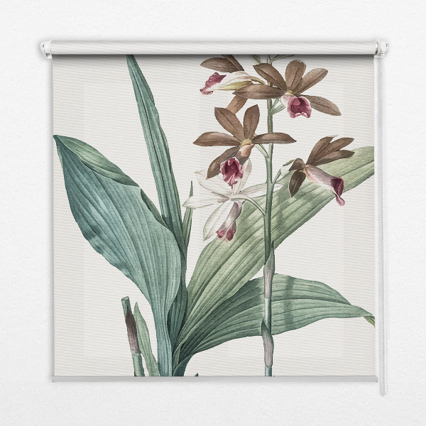 Fensterrollo innen in Blume