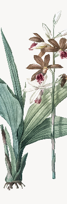 Fensterrollo innen in Blume