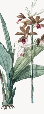 Fensterrollo innen in Blume