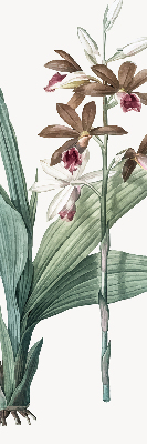 Fensterrollo innen in Blume
