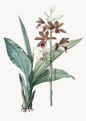 Fensterrollo innen in Blume