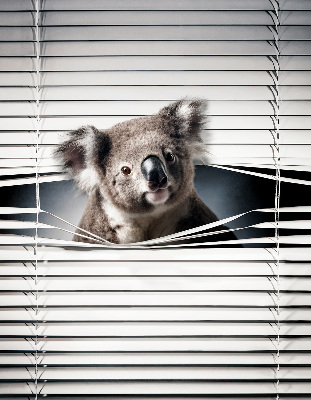 Rollo Fenster koala