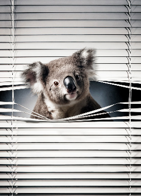 Rollo Fenster koala