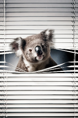 Rollo Fenster koala