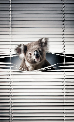 Rollo Fenster koala