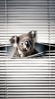 Rollo Fenster koala