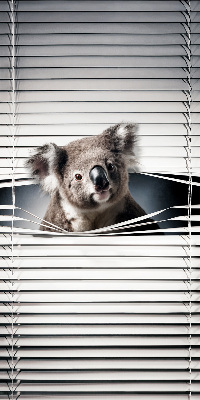 Rollo Fenster koala