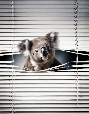 Rollo Fenster koala
