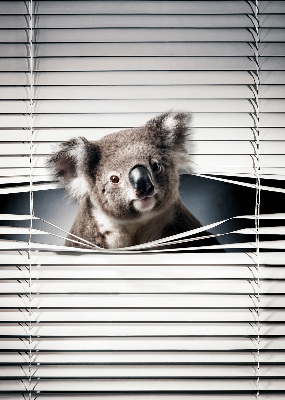 Rollo Fenster koala