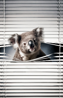 Rollo Fenster koala
