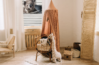 Rollo Fenster koala