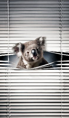 Rollo Fenster koala