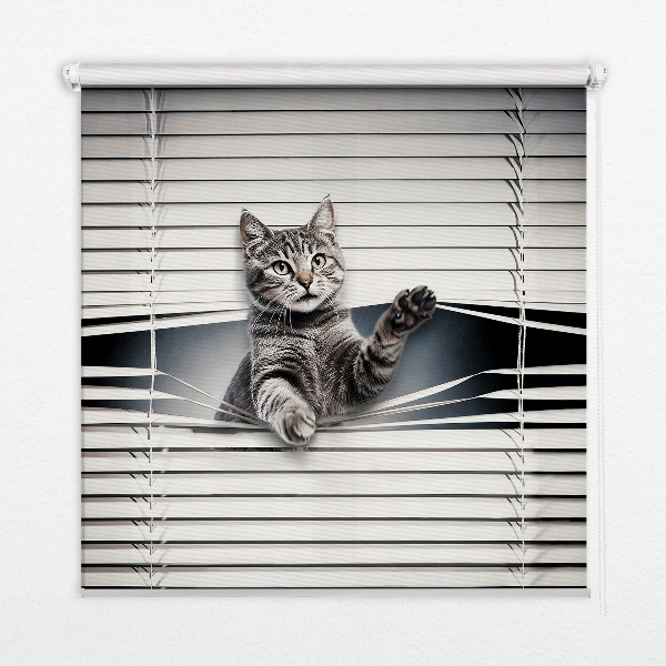 Fensterrollo für Katze