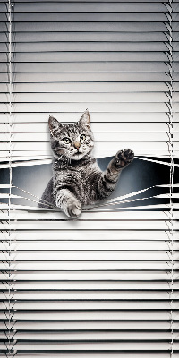 Fensterrollo für Katze