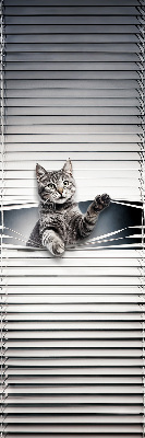Fensterrollo für Katze