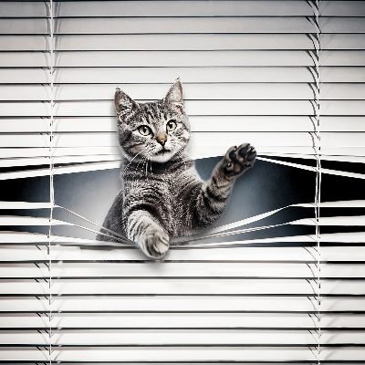 Fensterrollo für Katze