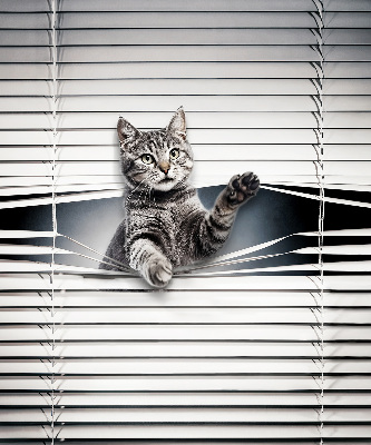 Fensterrollo für Katze