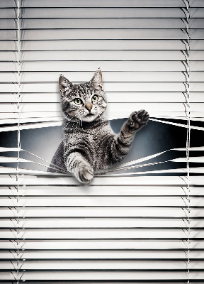 Fensterrollo für Katze