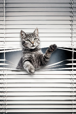Fensterrollo für Katze