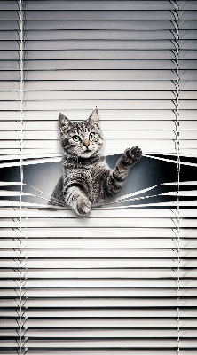Fensterrollo für Katze