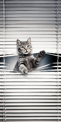 Fensterrollo für Katze