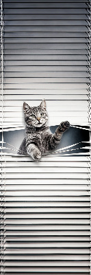 Fensterrollo für Katze