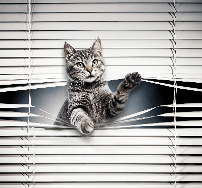 Fensterrollo für Katze