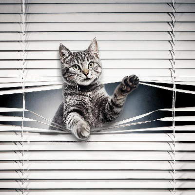 Fensterrollo für Katze
