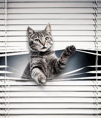 Fensterrollo für Katze