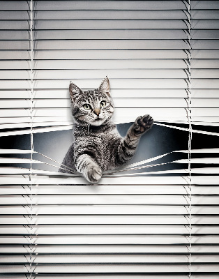 Fensterrollo für Katze